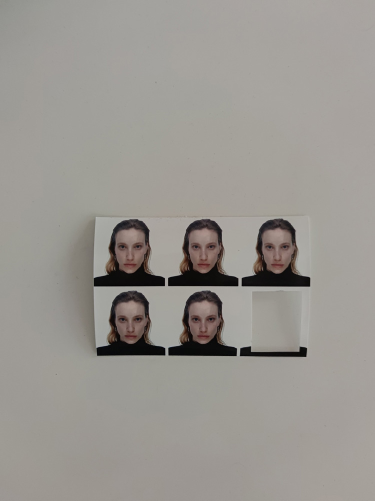 Elisabeth Herzog